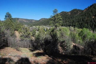 3367 County Road 335, Pagosa Springs, CO 81147