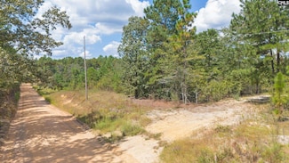 0 Bachman Dykes Rd, Swansea, SC 29160