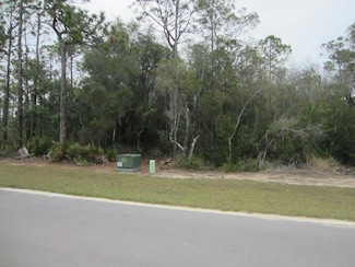 Lot 19 N Elm St, Seagrove Beach, FL 32459