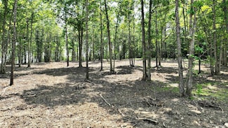 TBD, Tract 3 Polk Road 158, Mena, AR 71953
