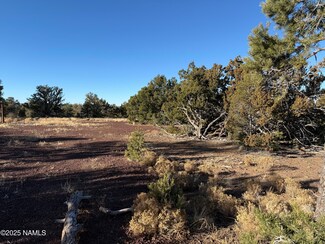 4173 E Parkway Dr, Valle, AZ 86046