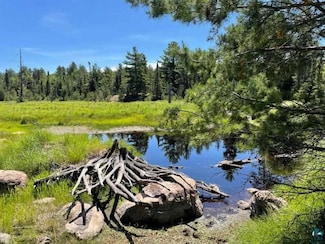 xxxx Mud Creek Rd, Eagle's Nest Township, MN 55731