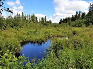 Lot 26 Three Ten Rd, Mercer, WI 54547