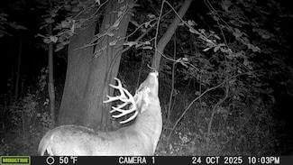 31681 Spring Ave, New Hartford, IA 50660