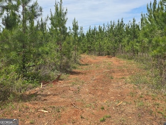 11 Marvin Murphy Rd, Ellaville, GA 31806