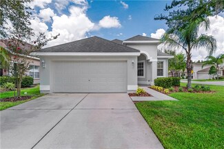 4425 English Turn Way, Wesley Chapel, FL 33543