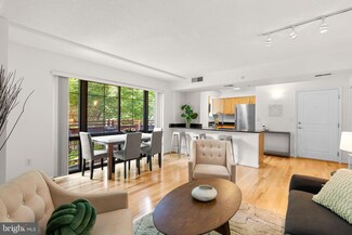 7923 Eastern Ave Unit 202, Silver Spring, MD 20910