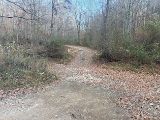 0 Heizer Creek Rd Unit Lot WP001 22409729, Poca, WV 25159