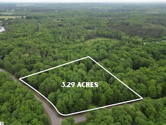 TBD Sandhill Crane Way, Orange Township, MI 49646