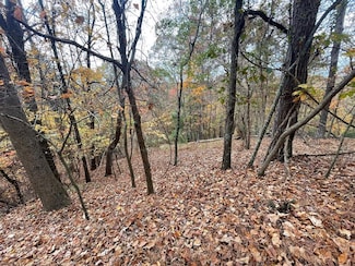 Lot 468 Cherokee Ct, Ellijay, GA 30540