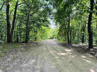 Lots 79 & 80 Fence Row Cir, Leroy, MI 49655