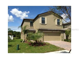 20040 Date Palm Way, Tampa, FL 33647