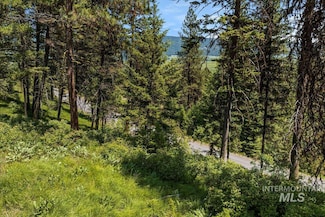 L5 B29 Sorrel Dr, New Meadows, ID 83654