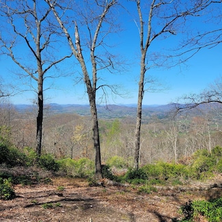 LT 20 Summit Dr, Hayesville, NC 28904