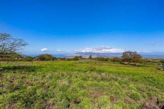 0 Calasa Rd, Kula, HI 96790