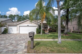 11401 Georgetown Cir, Tampa, FL 33635