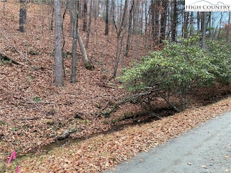 TBD Walnut Dr, Jefferson, NC 28640