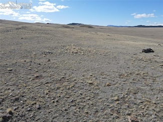4228 Athapascan Rd, Hartsel, CO 80449