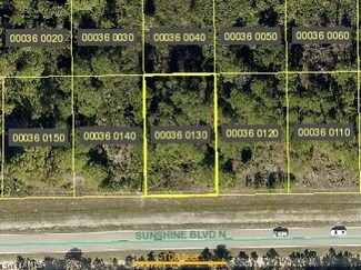 3147 Sunshine Blvd N, Lehigh Acres, FL 33971