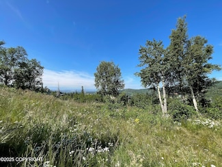 L16A B10H Harwood Cir, Anchorage, AK 99516