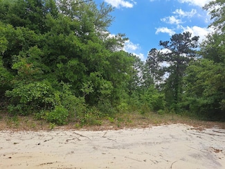 01 Santee Ln, Elloree, SC 29047