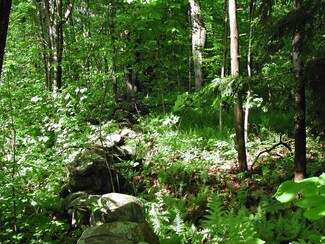 Lot 1 E Princeton Rd, Princeton, MA 01541