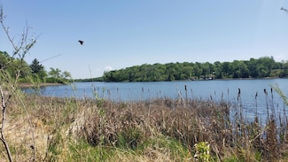 34343 Twin Island Dr, Dent, MN 56528