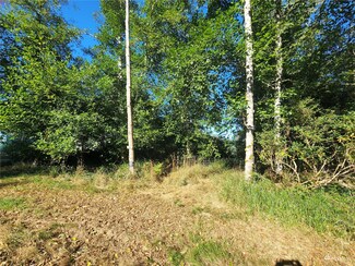 681 Duck Lake Dr NE, Ocean Shores, WA 98569