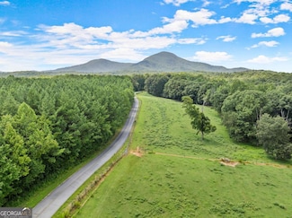 0 Arthur Allen Rd Unit LOT 2 10523190, Cleveland, GA 30528