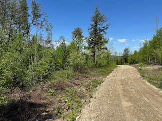 Lot 11 Mt Jefferson Heights, Lee, ME 04455
