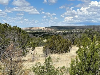 Lot 306 Edgewood Dr, Ramah, NM 87321