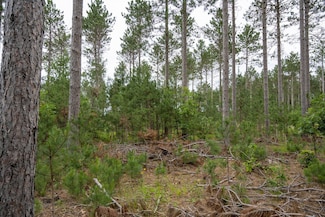 Lot 9 Bollig Ct, Nekoosa, WI 54457