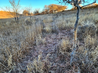 0 Tbd 370th Ave, Palco, KS 67657