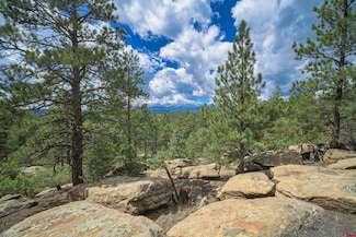 TBD Rancho Escondido Lot 15, Weston, CO 81082