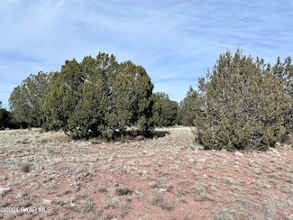 67 Wooden Ear Roaming Way, Seligman, AZ 86337