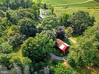 126 Pine View Ln, New Ringgold, PA 17960