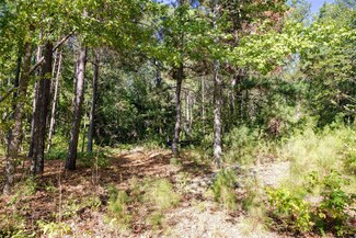 000 Off Fm 2267, Palestine, TX 75803