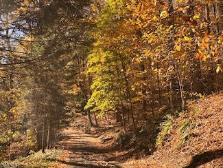 3 Rock N' Wood Rd, White, NJ 07823