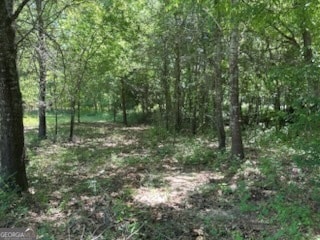 108 Sasser Rd, Leesburg, GA 31763