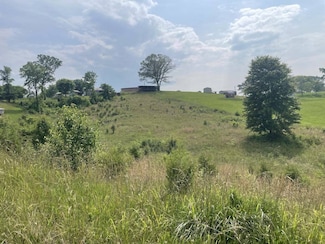 Tract 17A Billy Herold Johnson Subdivision, Albany, KY 42602