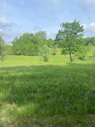 72 Holiday Way, Leitchfield, KY 42754