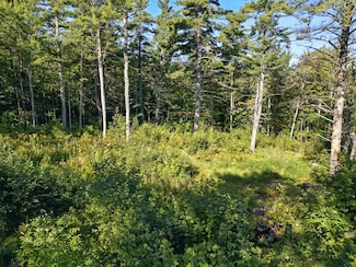 12 Balsam Dr, Gilford, NH 03249