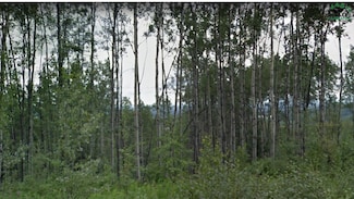nhn Ridgepointe Dr, Fairbanks, AK 99709