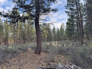 0 Silver Fox Ln Unit Lot 13 220201777, Sprague River, OR 97639