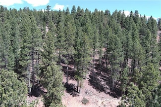 2195 E Sleepy Meadow Ln, Duck Creek Village, UT 84762