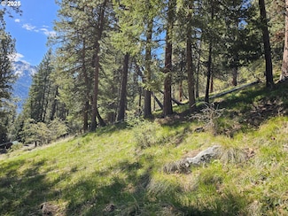 0 Lake Shore Rd Unit 149390254, Outside City Limits, OR 97846