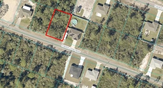 TBD Fisher Loop, Ocklawaha, FL 32179