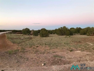 0000 Keldon Way, Encino, NM 88321