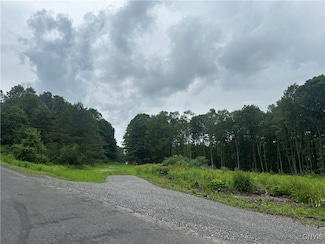 0000 Murphy Rd, Tully, NY 13159