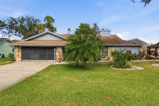 11721 W Riverhaven Dr, Homosassa, FL 34448